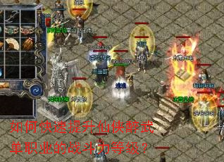 ��ο��������������䵥ְҵ��ս�����ȼ���