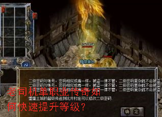 ��˾����ְҵ������ο��������ȼ���