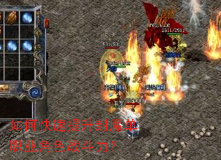 ��ο���������ħ��ְҵ��ɫս������