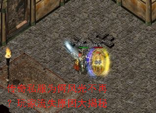 ����˽��Ϊ�η�ⲻ�٣������ʧԭ������