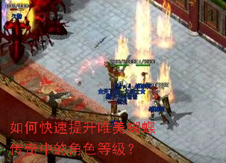 ��ο�������Ψ�����������еĽ�ɫ�ȼ���