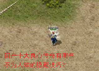 ����ʮ�����Ĵ�������Щ��Ϊ��֪�����ؼ��ɣ�