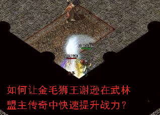 ����ý�ëʨ��лѷ���������������п�������ս����