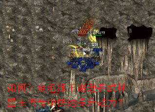 ����ý�ëʨ��лѷ���������������п�������ս����