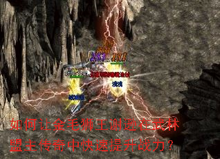 ����ý�ëʨ��лѷ���������������п�������ս����