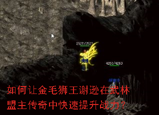 ����ý�ëʨ��лѷ���������������п�������ս����