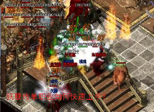 ��������ְҵ��ο������֣�