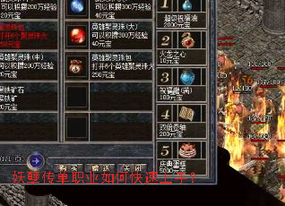 ��������ְҵ��ο������֣�