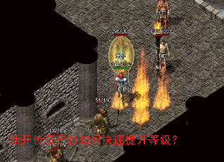 �¿�����������ο��������ȼ���