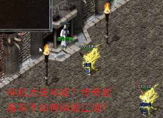 ������������������·���������ʶ�������