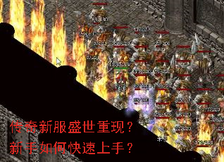 �����·�ʢ�����֣�������ο������֣�