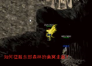 �����������ɭ�ֵ���ڤ���ȣ�