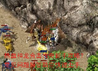 ��Ѫ�����ϻ��������ֹ��ԣ����������������������