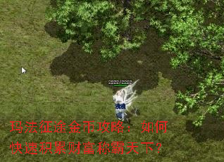 �귨��;��ҹ��ԣ���ο��ٻ��۲Ƹ��ư����£�