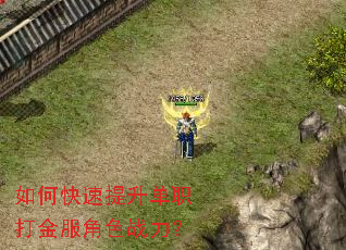 ��ο���������ְ������ɫս����