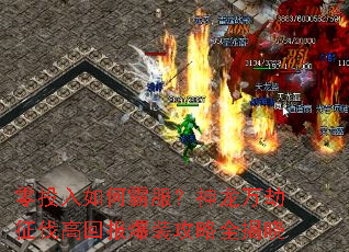 ��Ͷ����ΰԷ���������������߻ر���װ����ȫ����