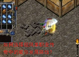 ���ѡ�����ﵥְҵ�����е���ѷ�չ·�ߣ�