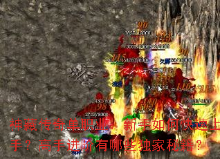 ��ش��浥ְҵ��������ο������֣����ֽ�������Щ�����ؼ���