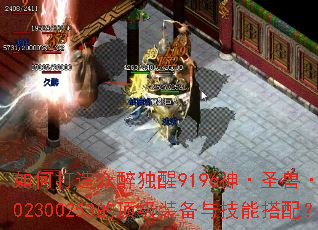 ��δ�����������9196��ʥ�ޡ���ȸ302300253�Ķ���װ���뼼�ܴ��䣿