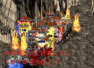 �����·����ڻ���������������ο������֣�