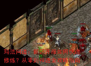 �귨�ʵ�������������ο������������㵽����ȫ����ָ��