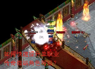 ��ο���������ְҵ����΢�˽�ɫ�ȼ���