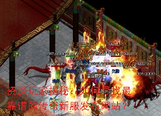 ������ҽ��أ����Ѱ����׵Ĵ����·�������վ��