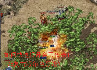 如何快速提升金币传奇1.76复古版角色等级? 如何快速提升金币传奇1.76复古版角色等级?