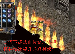 ���������Ѫ��������Ƶ������������Ϸ�ȼ���