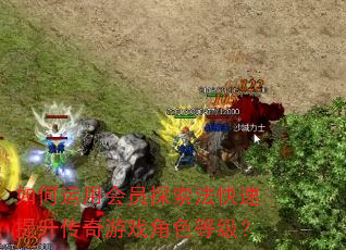 如何运用会员探索法快速提升传奇游戏角色等级? 如何运用会员探索法快速提升传奇游戏角色等级?
