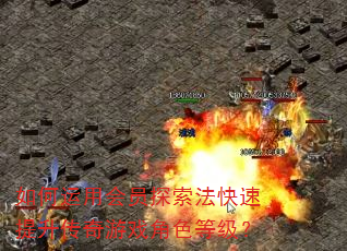 如何运用会员探索法快速提升传奇游戏角色等级? 如何运用会员探索法快速提升传奇游戏角色等级?
