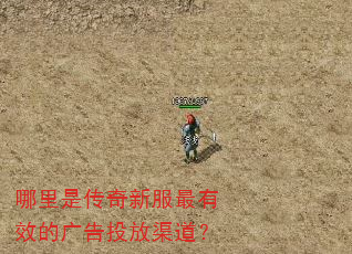 �����Ǵ����·�����Ч�Ĺ��Ͷ��������