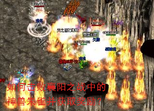 如何击败襄阳之战中的神兽朱雀并获取奖励? 如何击败襄阳之战中的神兽朱雀并获取奖励?