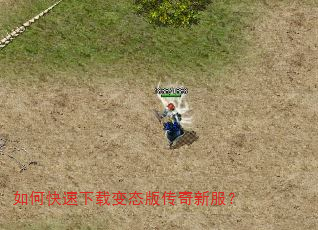 如何快速下载变态版传奇新服? 如何快速下载变态版传奇新服?