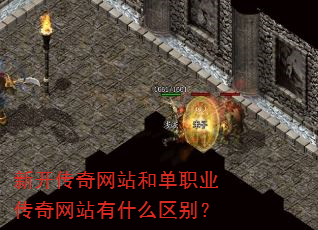 �¿�������վ�͵�ְҵ������վ��ʲô����