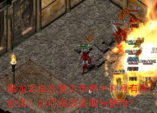 ħ��֮Ѫ�ڸ��Ŵ����о����к����ã���θ�Ч��ȡ��ʹ�ã�