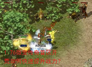 1.76΢�䴫������������ο�������ս����