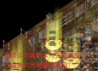 ���������Ѫ�����޼��������츴�Ŵ�����ǿ���У�