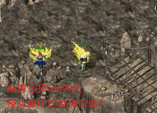 ���ѡ��sf999����˽���е����ְҵ��