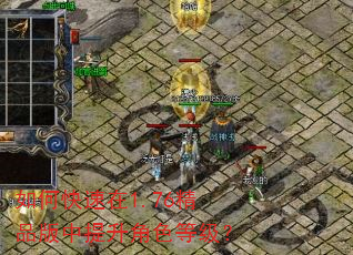如何快速在1.76精品版中提升角色等级? 如何快速在1.76精品版中提升角色等级?