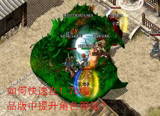 如何快速在1.76精品版中提升角色等级? 如何快速在1.76精品版中提升角色等级?