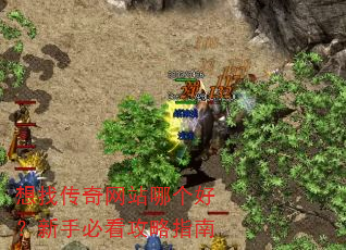 想找传奇网站哪个好?新手必看攻略指南 想找传奇网站哪个好?新手必看攻略指南