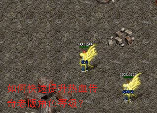 如何快速提升热血传奇老版角色等级? 如何快速提升热血传奇老版角色等级?