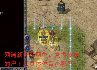 网通新开私服中,复古传奇的尸王殿具体位置在哪里? 网通新开私服中,复古传奇的尸王殿具体位置在哪里?