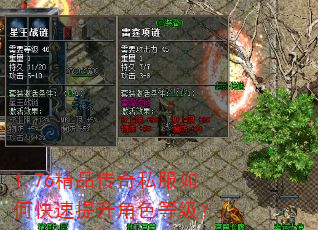 1.76��Ʒ����˽����ο���������ɫ�ȼ���