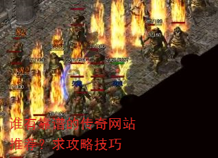 ˭�п��׵Ĵ�����վ�Ƽ������Լ���