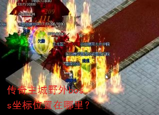 ��������Ұ��boss����λ�������