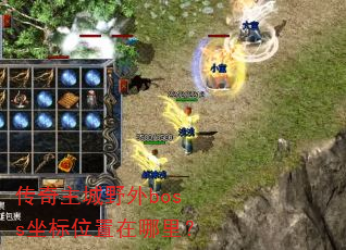 ��������Ұ��boss����λ�������