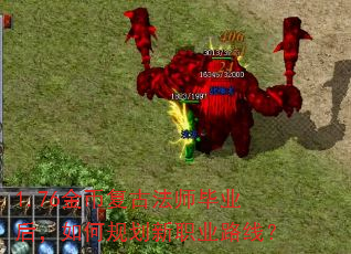 1.76��Ҹ��ŷ�ʦ��ҵ����ι滮��ְҵ·�ߣ�