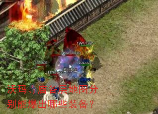 沃玛寺庙各层地图分别能爆出哪些装备? 沃玛寺庙各层地图分别能爆出哪些装备?